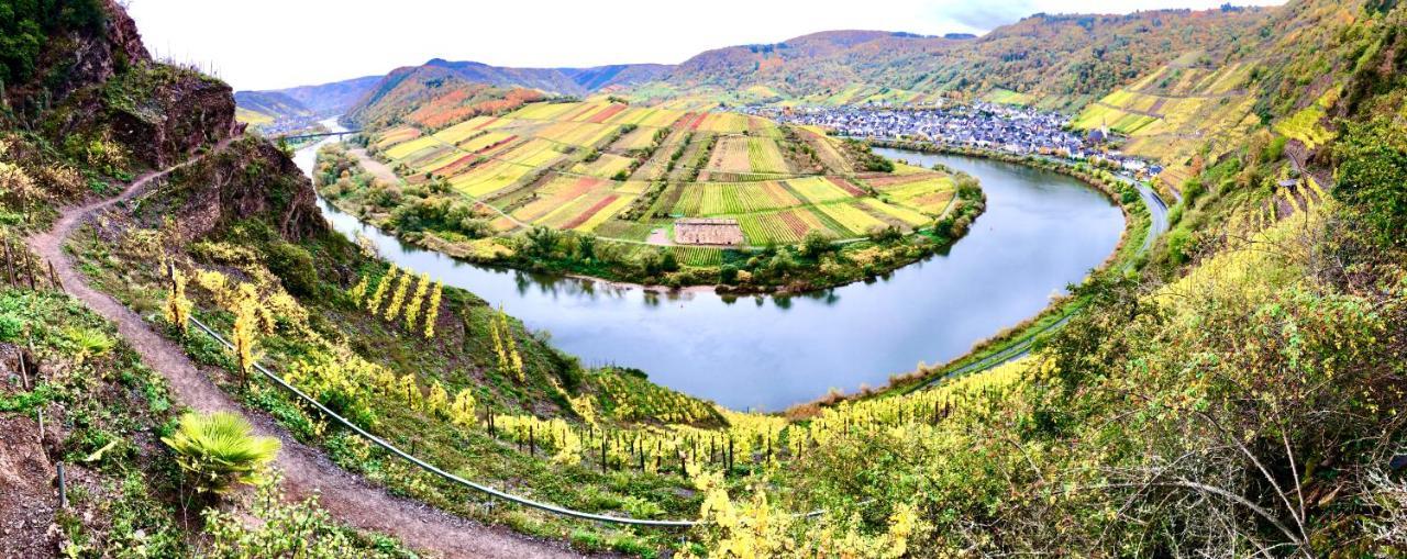 Haus Am Ufer Mit Rheinpanoramablick Daire Koblenz  Dış mekan fotoğraf
