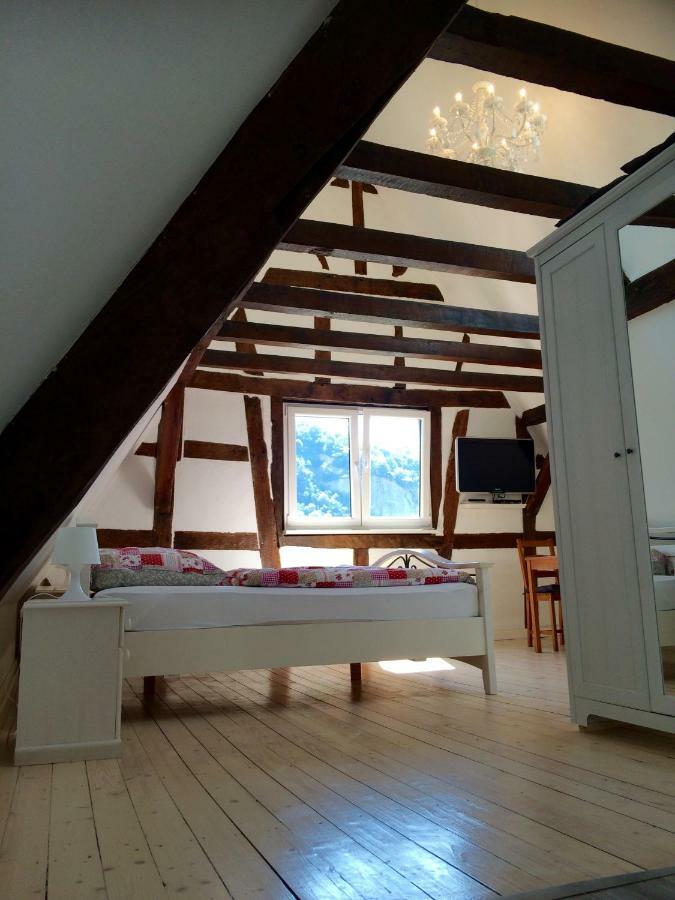 Haus Am Ufer Mit Rheinpanoramablick Daire Koblenz  Dış mekan fotoğraf