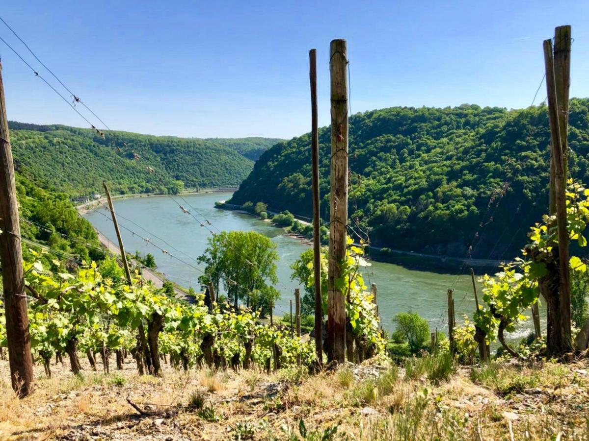 Haus Am Ufer Mit Rheinpanoramablick Daire Koblenz  Dış mekan fotoğraf